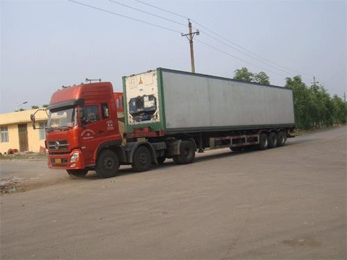 東莞市寶來物流 專業(yè)高效的國(guó)內(nèi)貨運(yùn)代理服務(wù)商